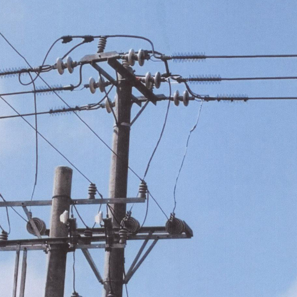 防鳥裝置案例