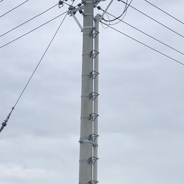 電桿爬梯案例4