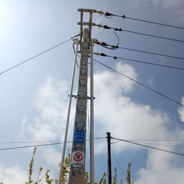 電桿爬梯案例2
